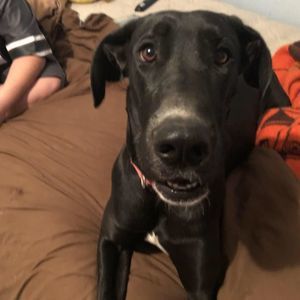 Meet your Posher, Kari